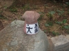 Rock with Chinese written on it! 